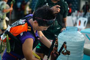 BIB: 
                            <button type="button" onclick="openModal(25265684)" class="btn btn-primary btn-sm float-right btn-popup" data-toggle="modal" data-target=".modal-high-quality">
                        <i class="fas fa-shopping-cart"></i> Add to Cart
                    </button>
                                            <button type="button" onclick="isThisMe(25265684, true)" class="btn btn-success btn-sm float-right btn-popup btn-isme hidden" data-toggle="tooltip" data-placement="bottom" title="นี่คือรูปของคุณใช่ไหม คลิกที่นี่เพื่อเอาเข้าอัลบั้ม">
                        <i class="fas fa-plus"></i> Add to album
                    </button>
                    <button type="button" onclick="isThisMe(25265684, false)" class="btn btn-warning btn-sm float-right btn-popup btn-isnotme hidden">
                        <i class="fas fa-ban"></i> Remove from album
                    </button>